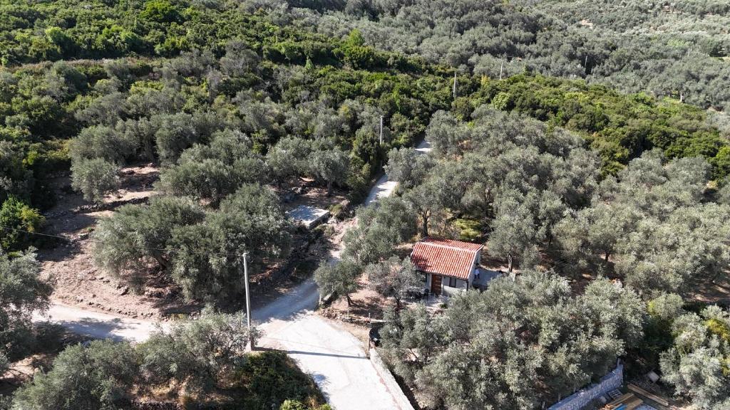 Olive stone house, Ulcinj - 3