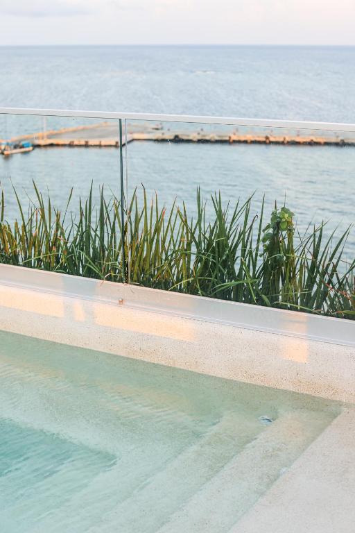 Distrito Puerto, Ocean & Mangrove Views - 3