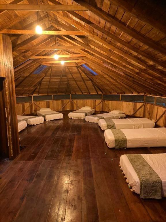 Guest House Great Hostels Amazon, Puyo