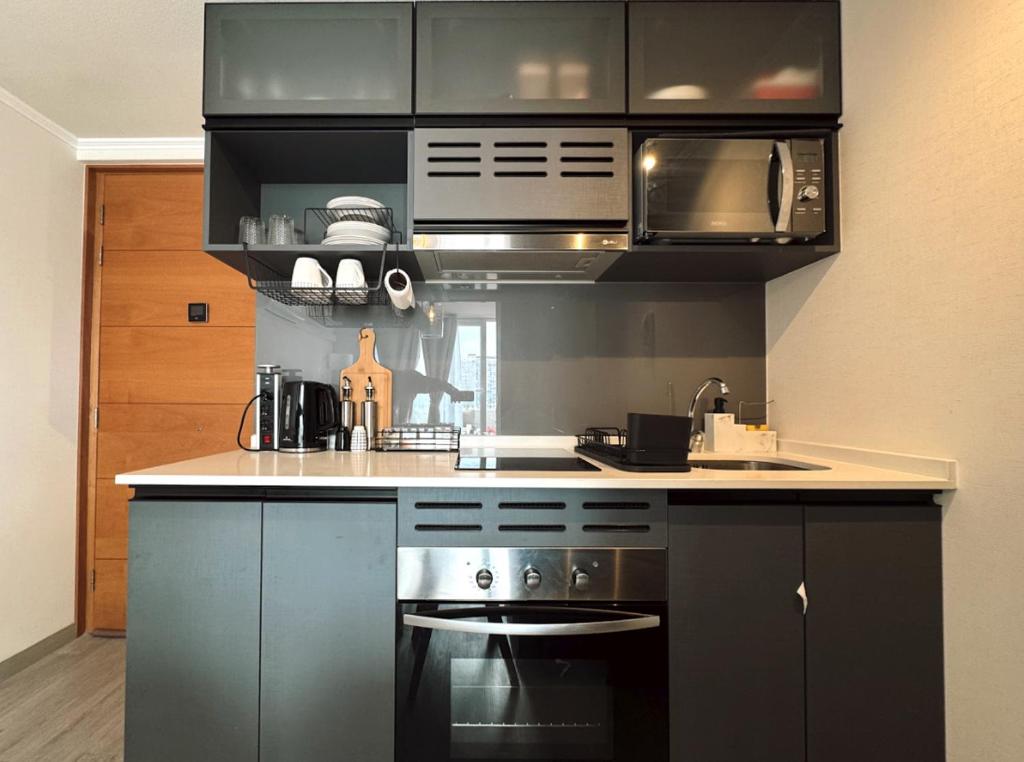 Departamento de Una Habitación, Terraza con parrilla, - 2