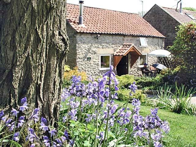Old Barn Cottage, Lockton