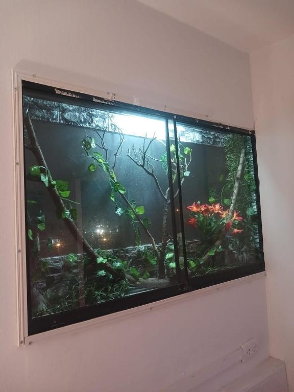 Freestyle Home - 3