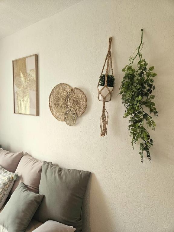 Charming studio - 4