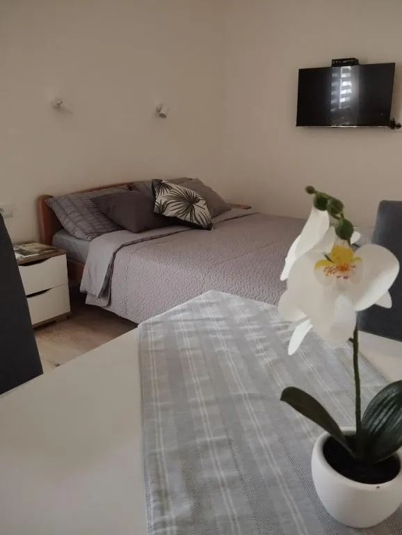 Oaza studio 2, hotel v destinaci Soko Banja