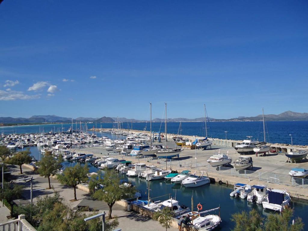 Harborfront Escape in Mallorca - 4