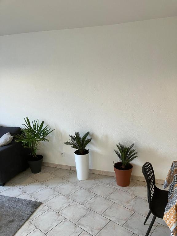 Grand appartement centre ville château St Pierre - 2