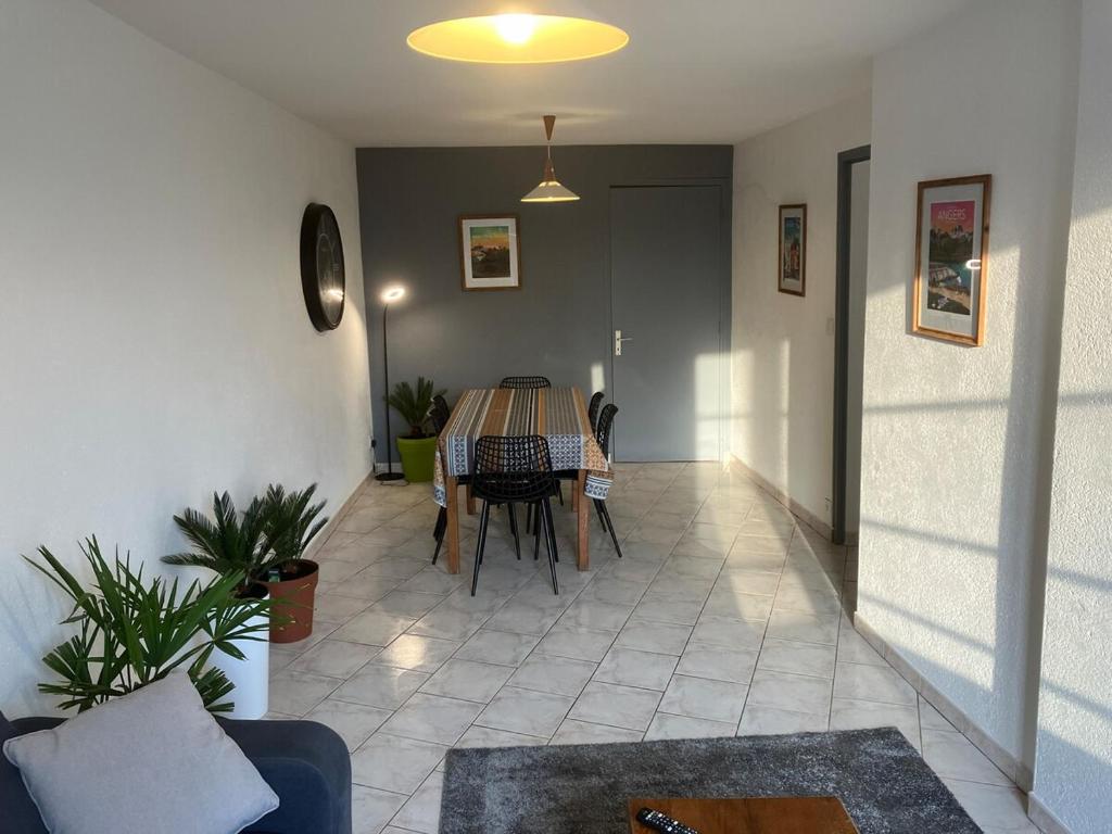 Grand appartement centre ville château St Pierre - 4