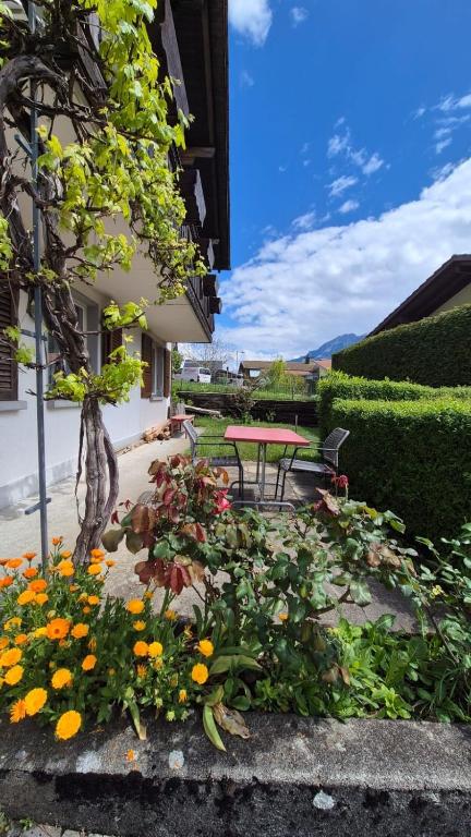 Completely refurbished comfortable apartment - 2