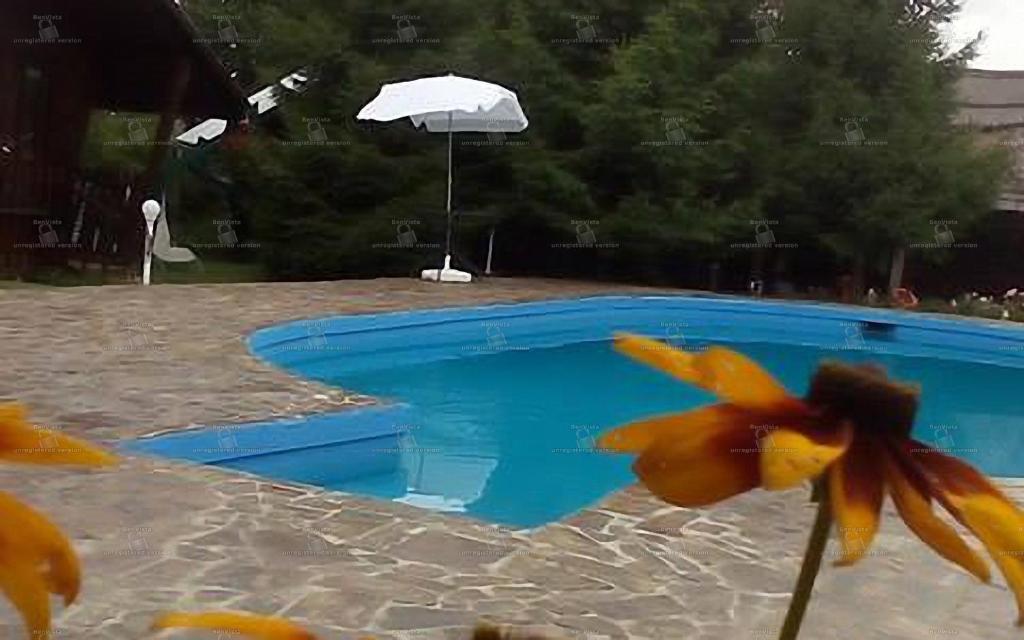Camping Robinson Country Club Oradea photo
