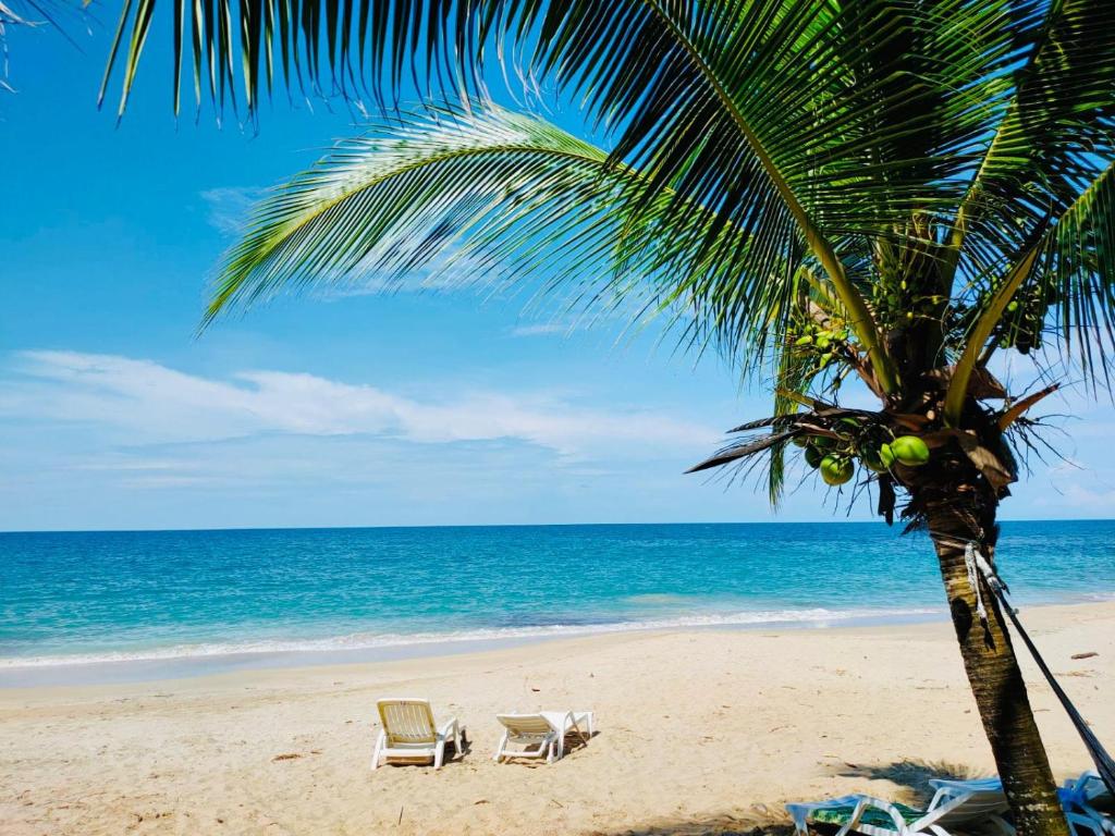 Surrounding environment