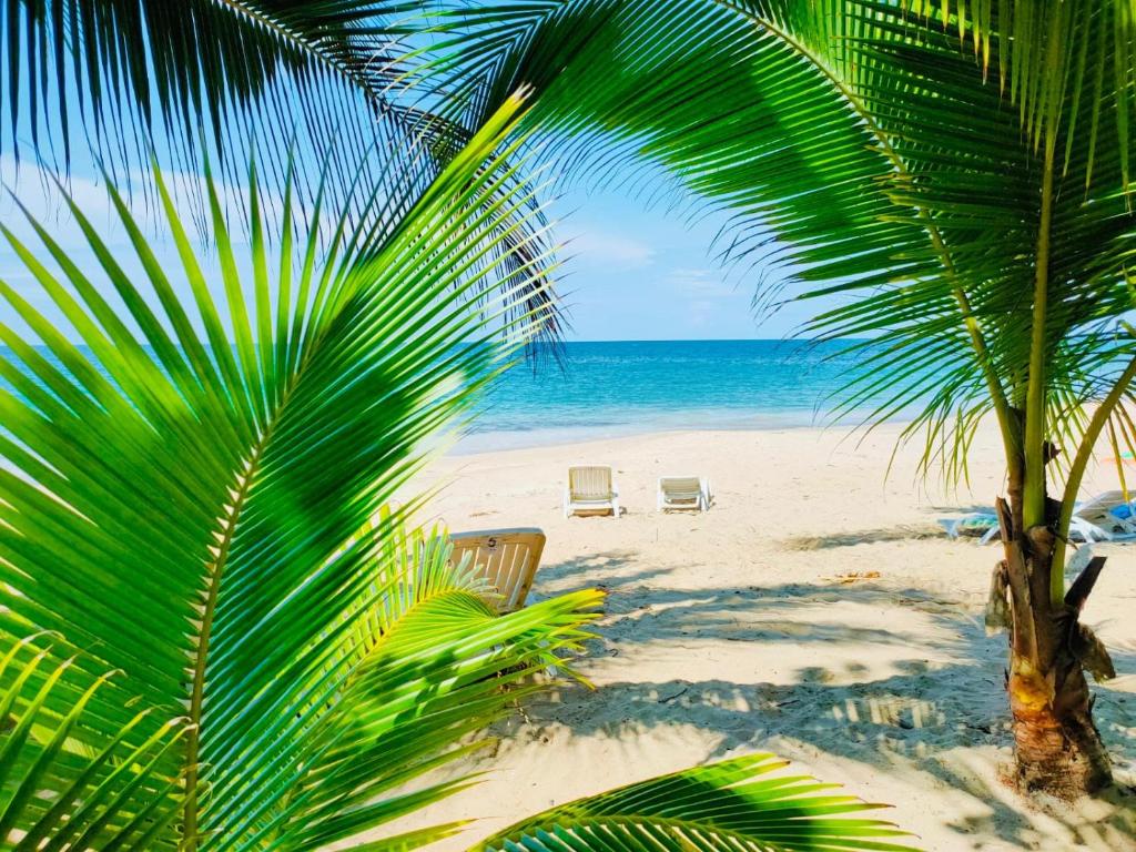 Surrounding environment, Finca Ardilla Jungle Lodge in Puerto Viejo de Talamanca