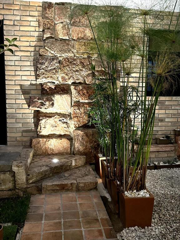 Oasis of tranquility nestled in Historic Center - 3