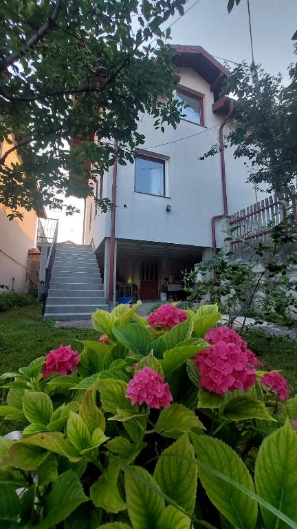 Sweet Old Town Flat - 3