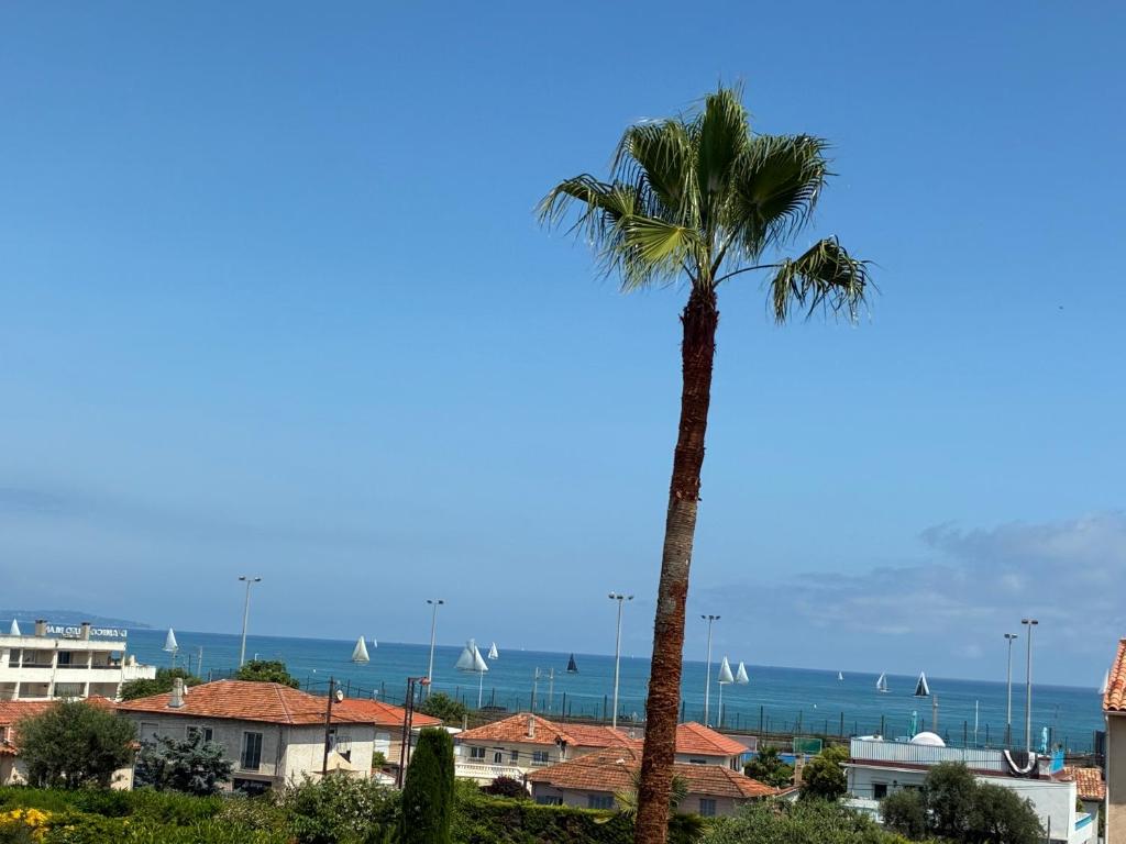 Magnifique 2 pièces balcon Vue Mer - 5