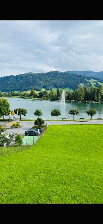 1 room apartment in Canton Zug, Unterägeri