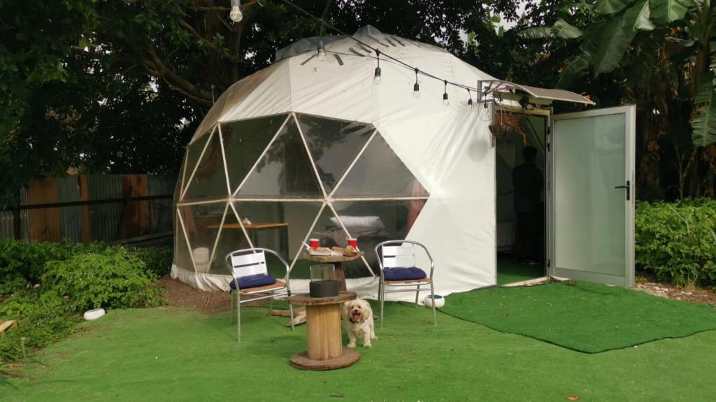 Glamping Lily, San Rafael