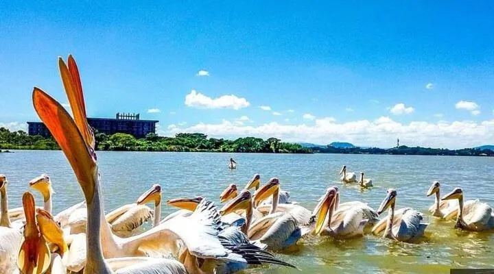 Yiganda Hotel, Bahir Dar, hotel in Dirē Kʼalu