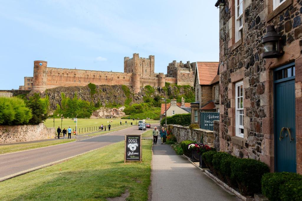 Betony, Bamburgh photo 7