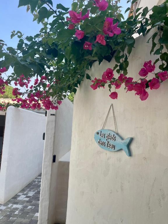 xenónas appartement avec petite piscine privée - 3