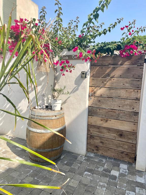xenónas appartement avec petite piscine privée - 2