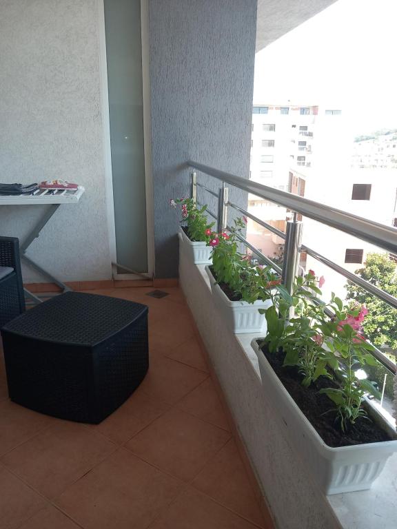 APARTMENTS ANI Ester - 3