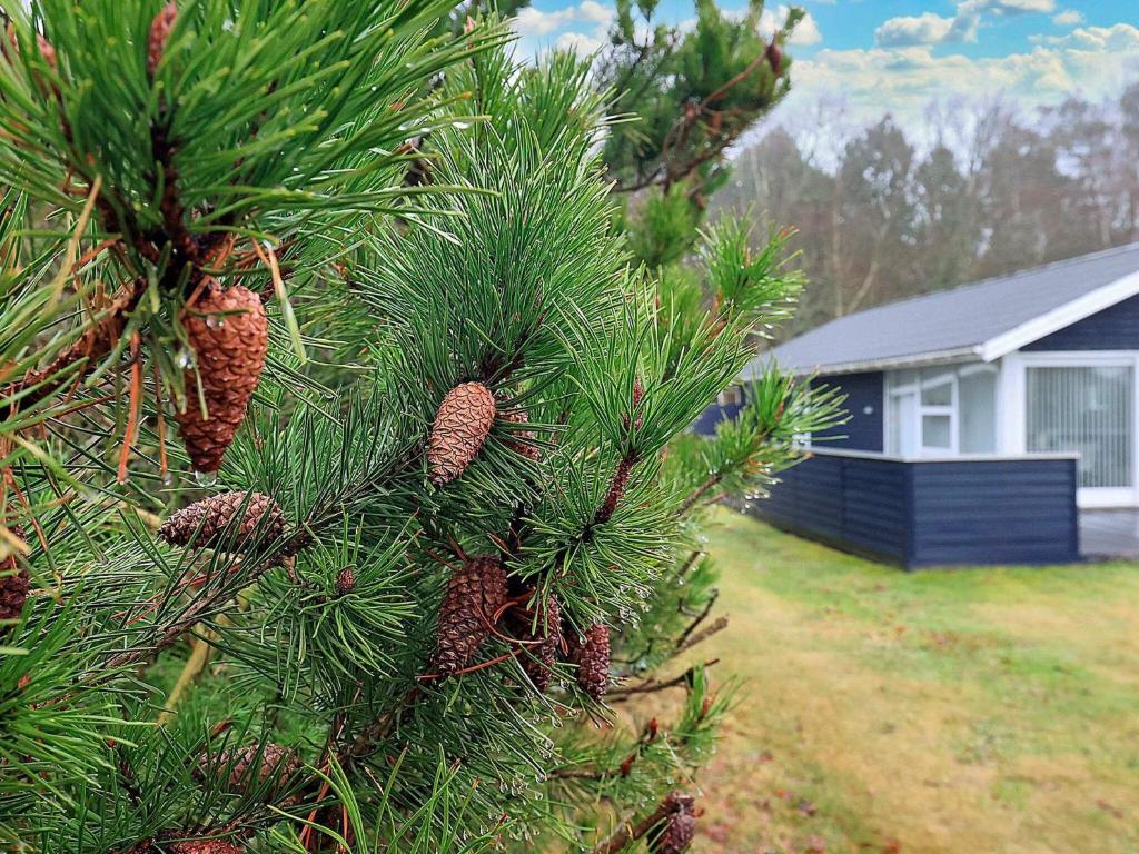 Seaside Serenity in Hals-By Traum, Hals