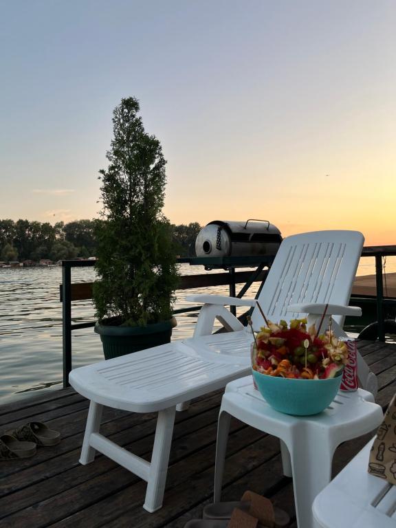 Splav na Savi KALIVARIJA - 4