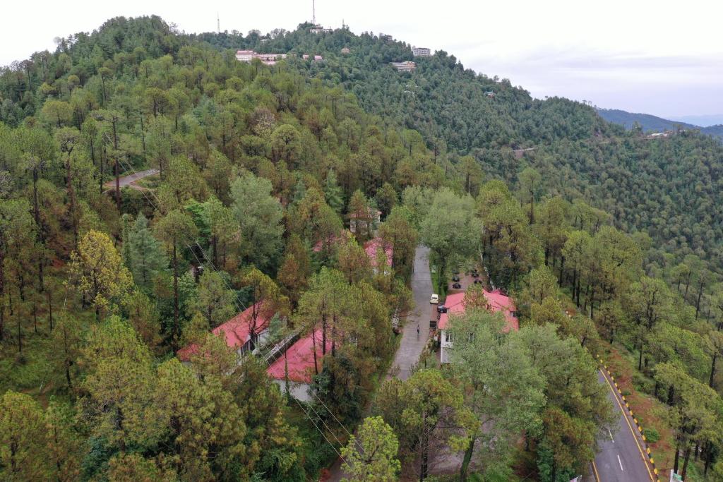 Blue Pines Resort & Restaurant, Murree, Murree