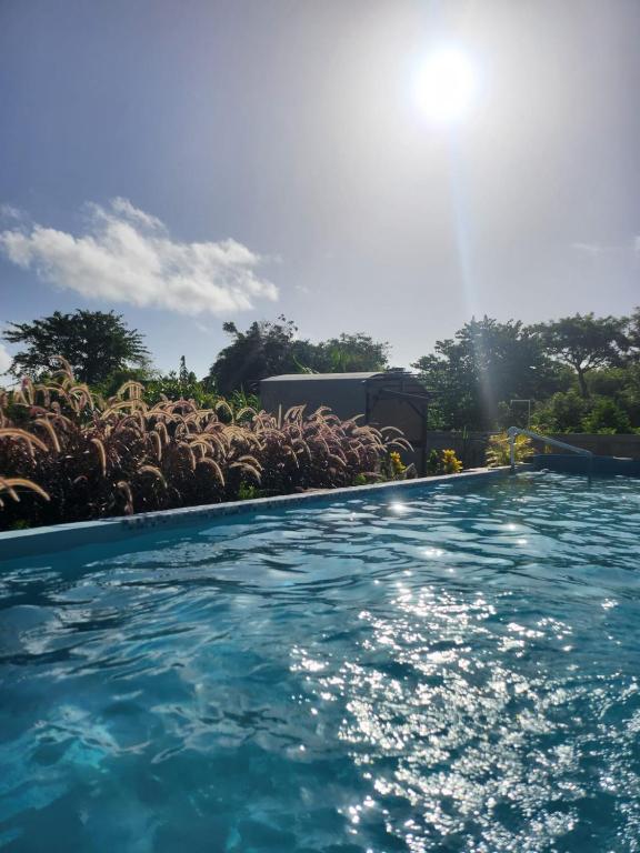 Dani's Guesthouse, Las Galeras