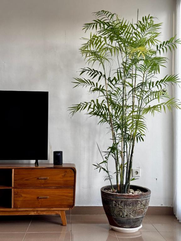 KaMua - A Cozy Canggu Escape, Canggu