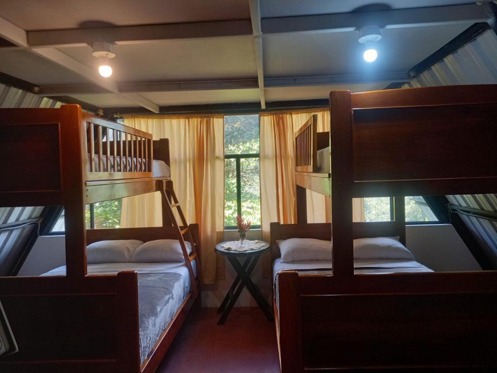 Mindo Golden Bird II - 2