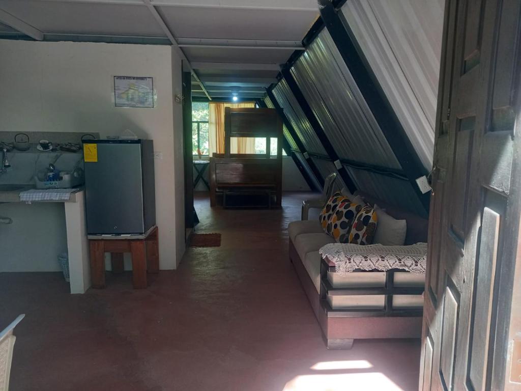 Mindo Golden Bird II - 5