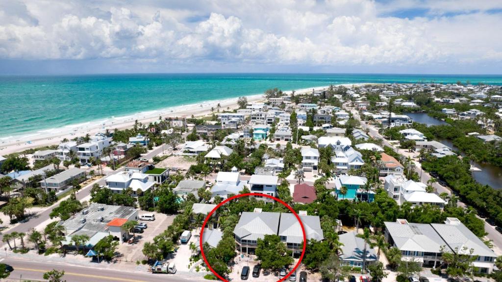 Seashell, Anna Maria