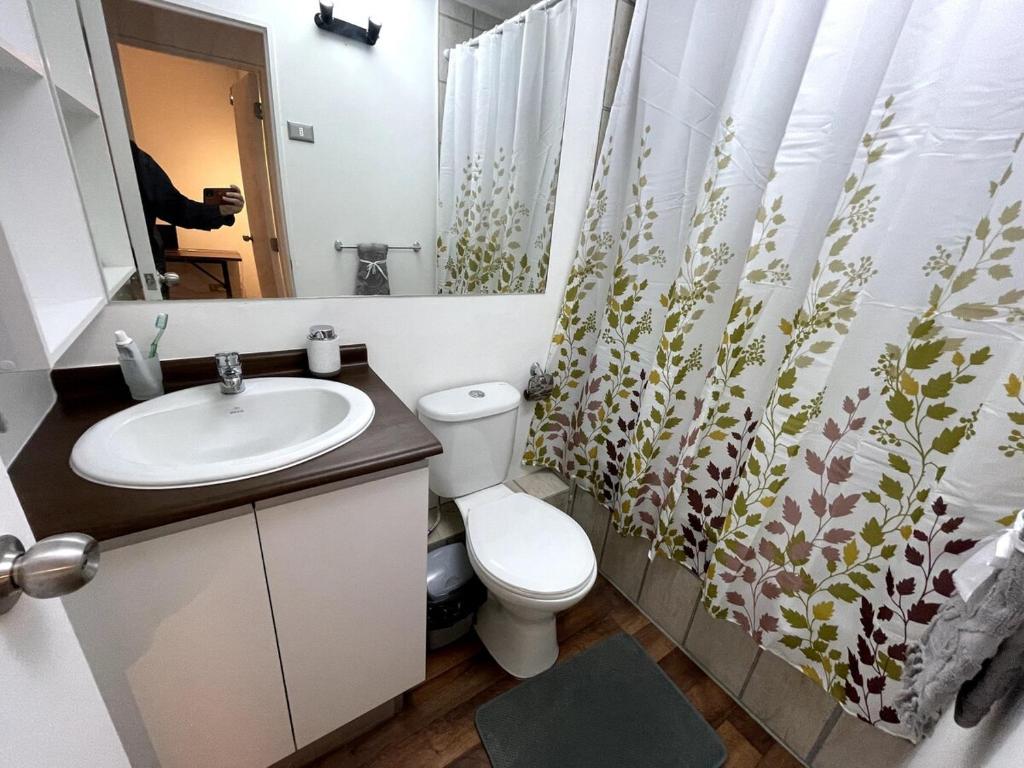 Cozy apartment with a view of the Volcanoes and Villarrica Lake - 2