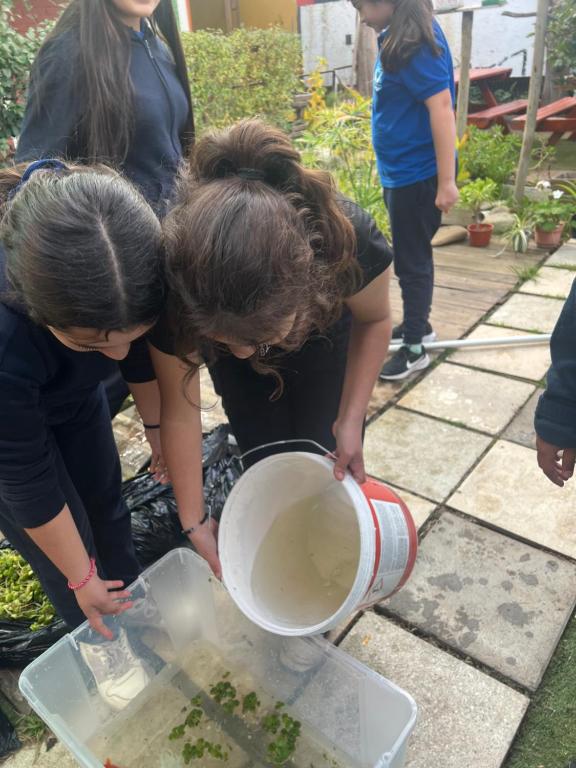 Pensión Hospital - 3