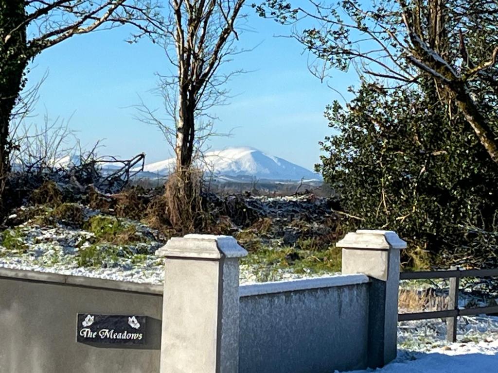 The Studio, Charlestown