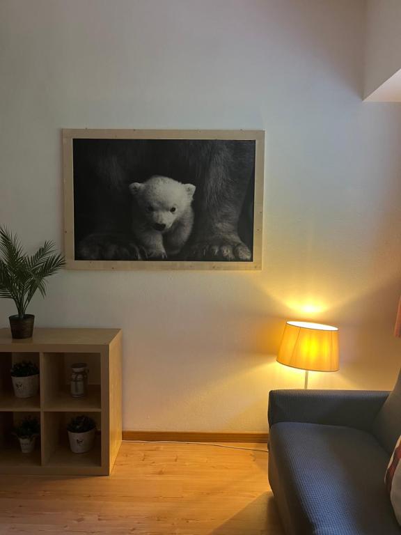 La Tana dell'Orsetto - 3