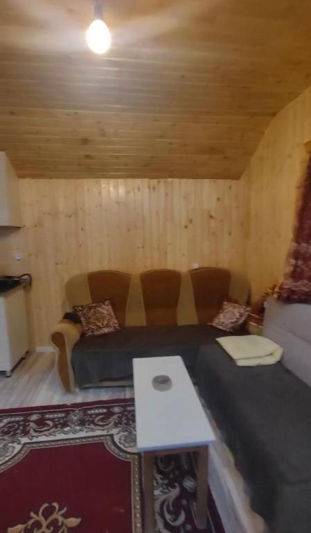 Vizha tourism, Lerik