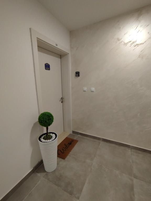 Apartman Gold - 5