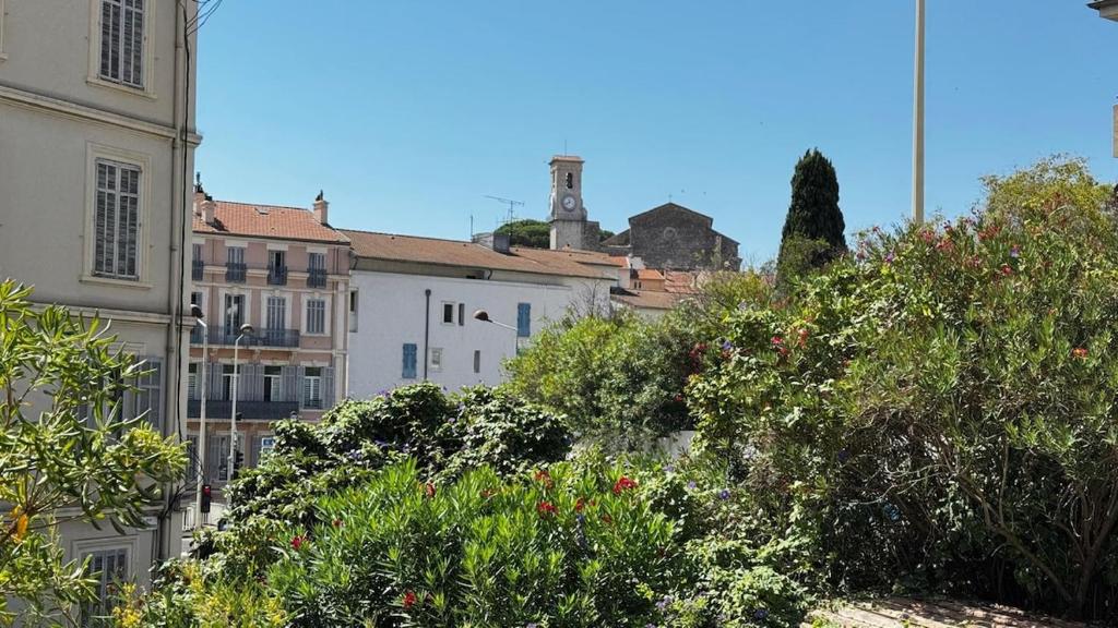 Cannes centre - Forville Market - 5