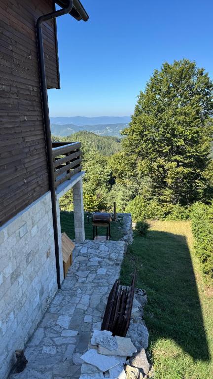 CAR ŠUME, Mokra Gora