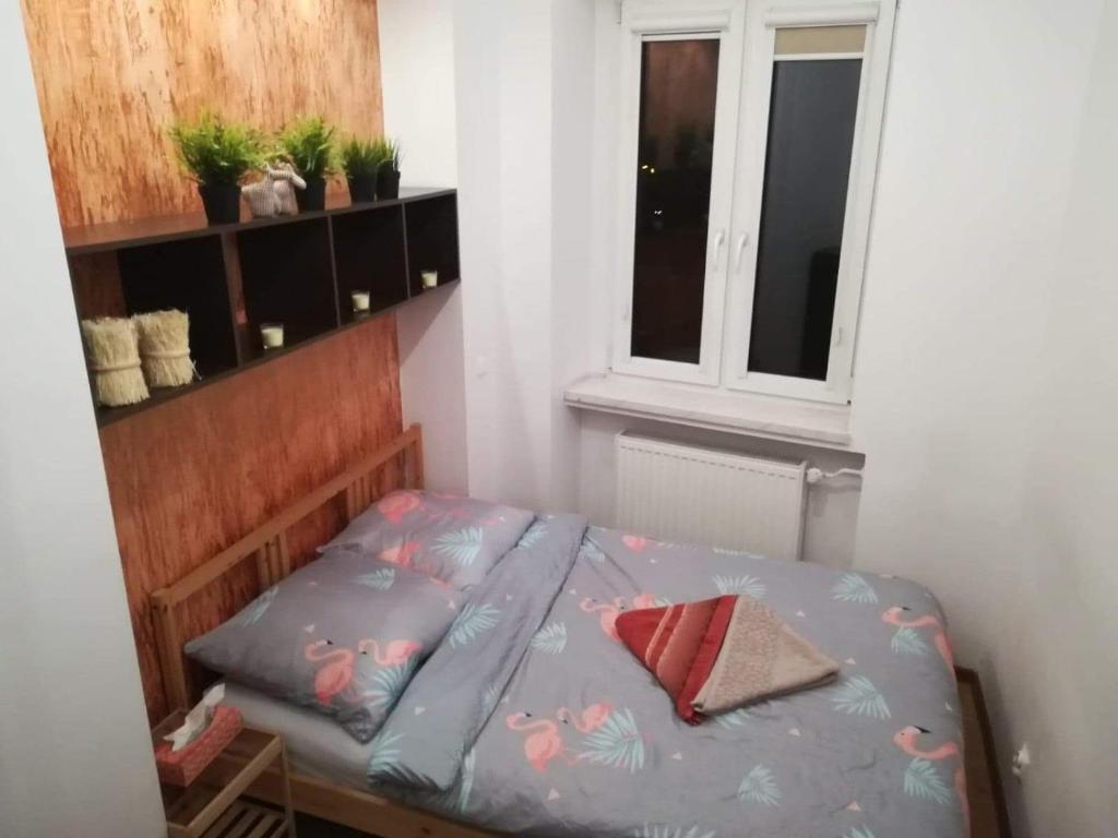 WrocLove AP, Vratislav