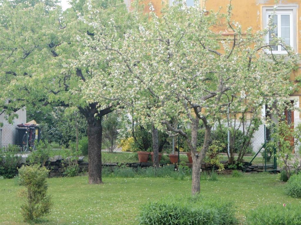 Greenhouse 22 - 1