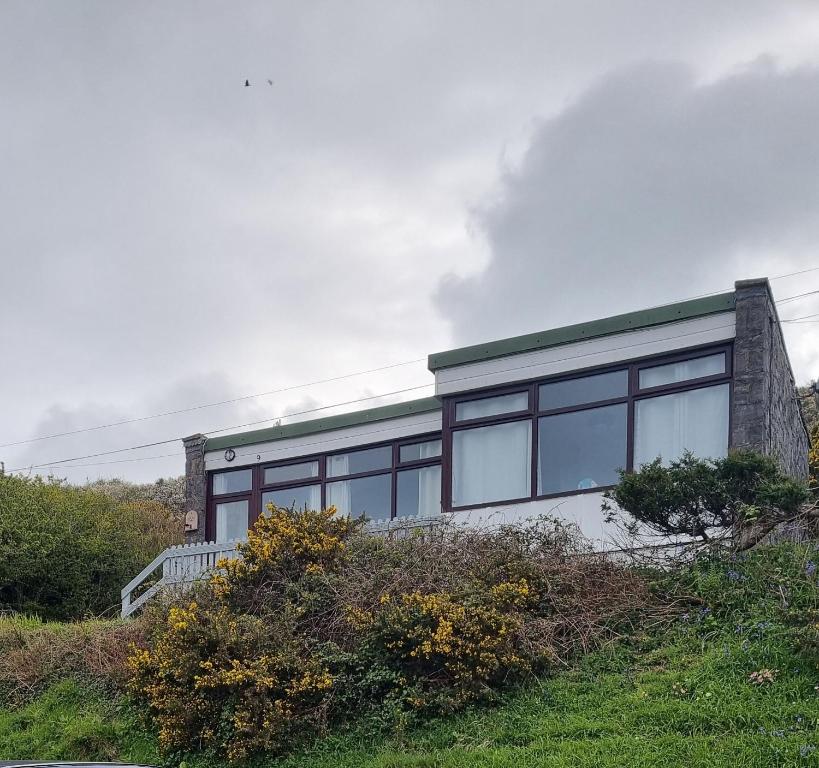 Giddy Puffin, Nolton