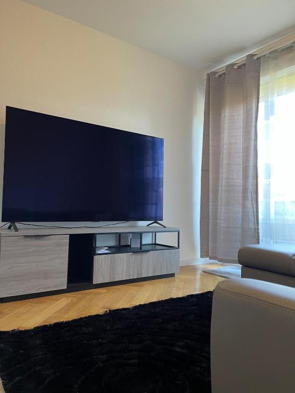 Well-Located Comfortable Complet, Ženeva