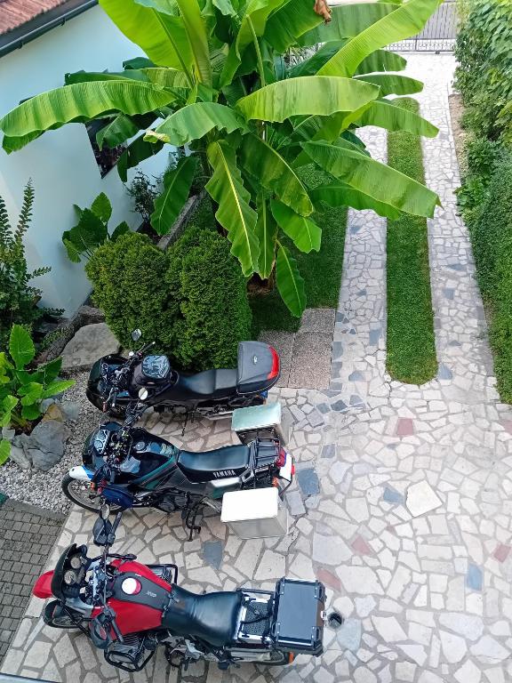 Apartman Orhideja - 2