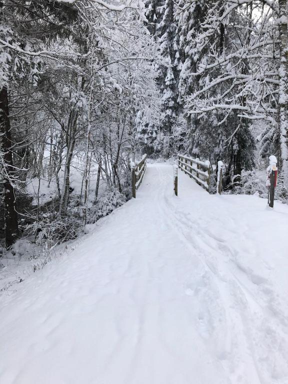 Châtel - appartement 4 personnes, Châtel