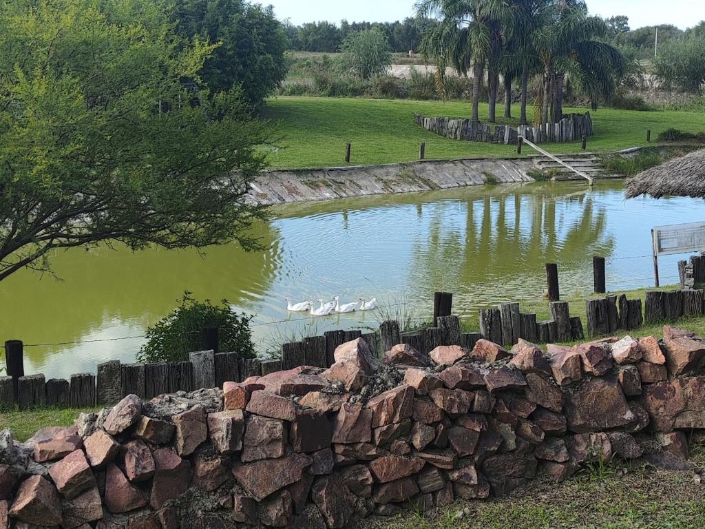 amanecer de RIO y pesca - 5