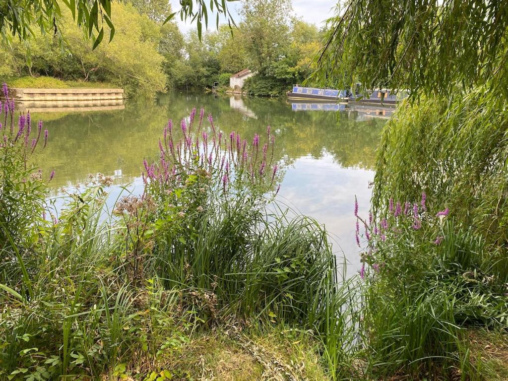 Riverside central 3 bedroom house, Oxford