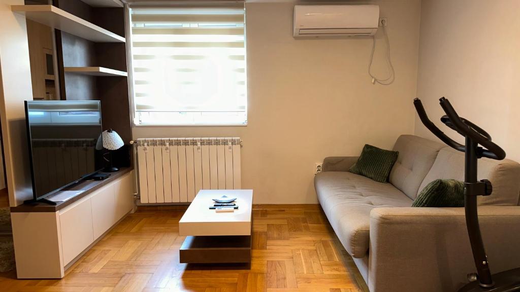 Dorcol apartman - 3